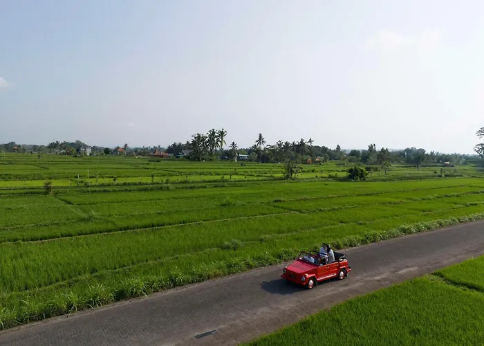 Alila Ubud