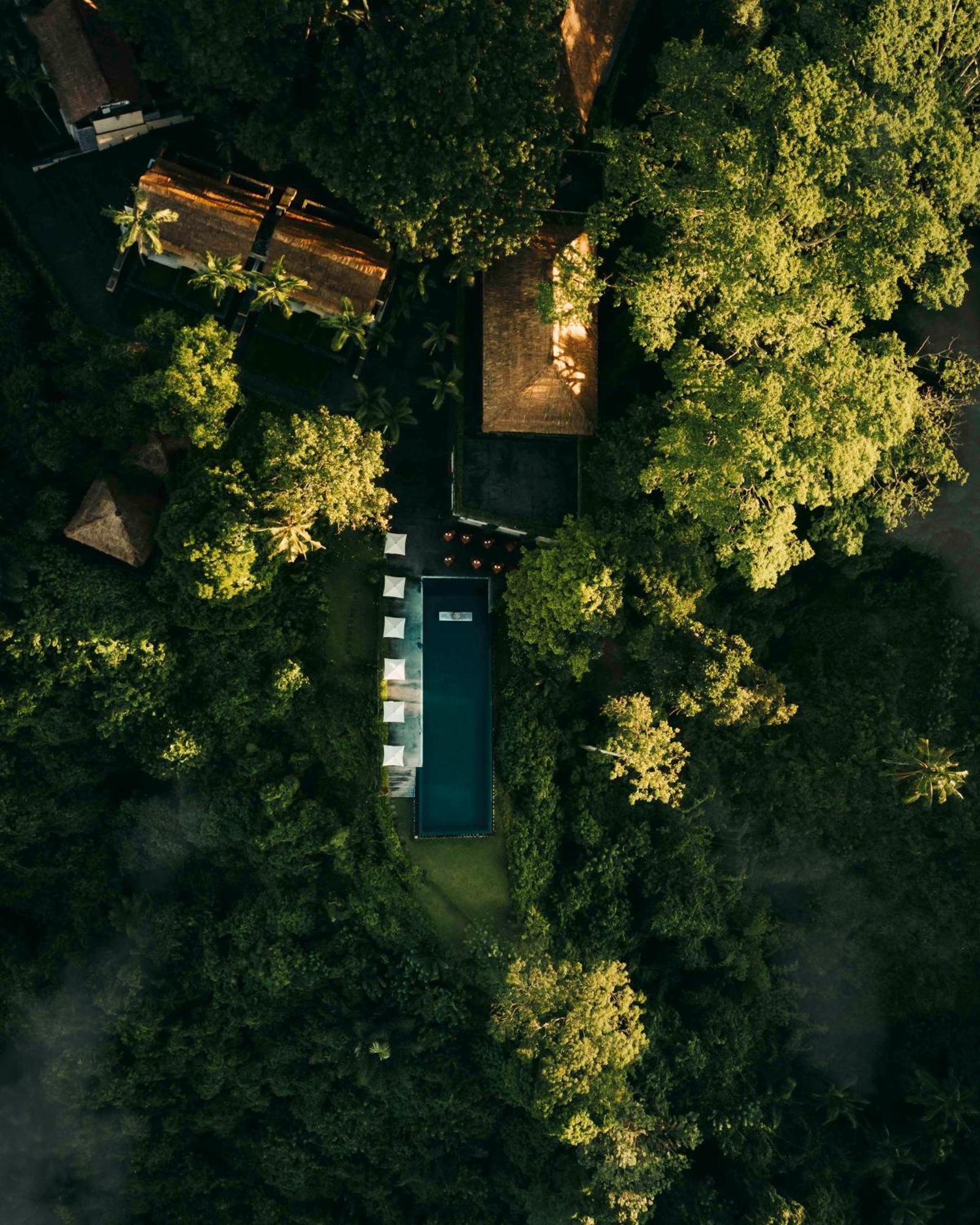 Alila Ubud 5* Payangan