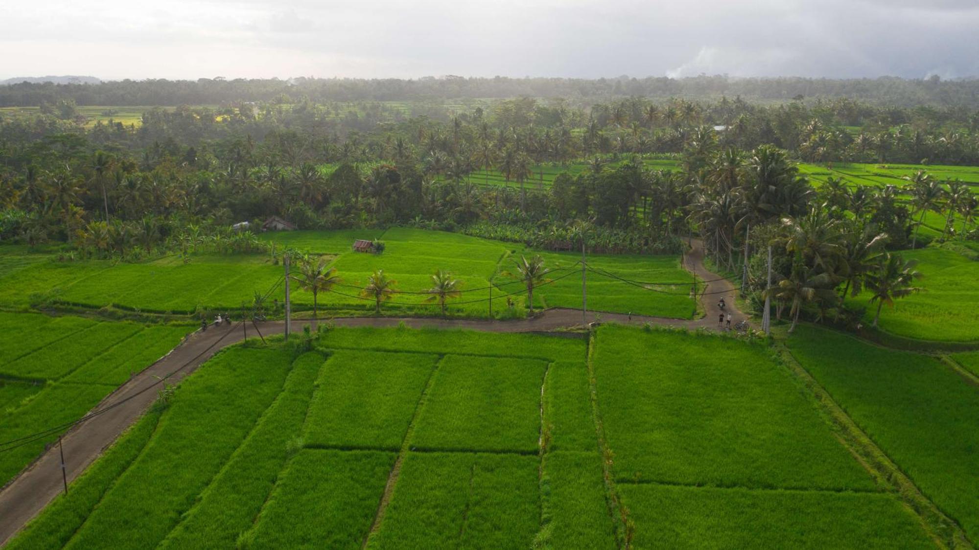 Alila Ubud 5* Payangan