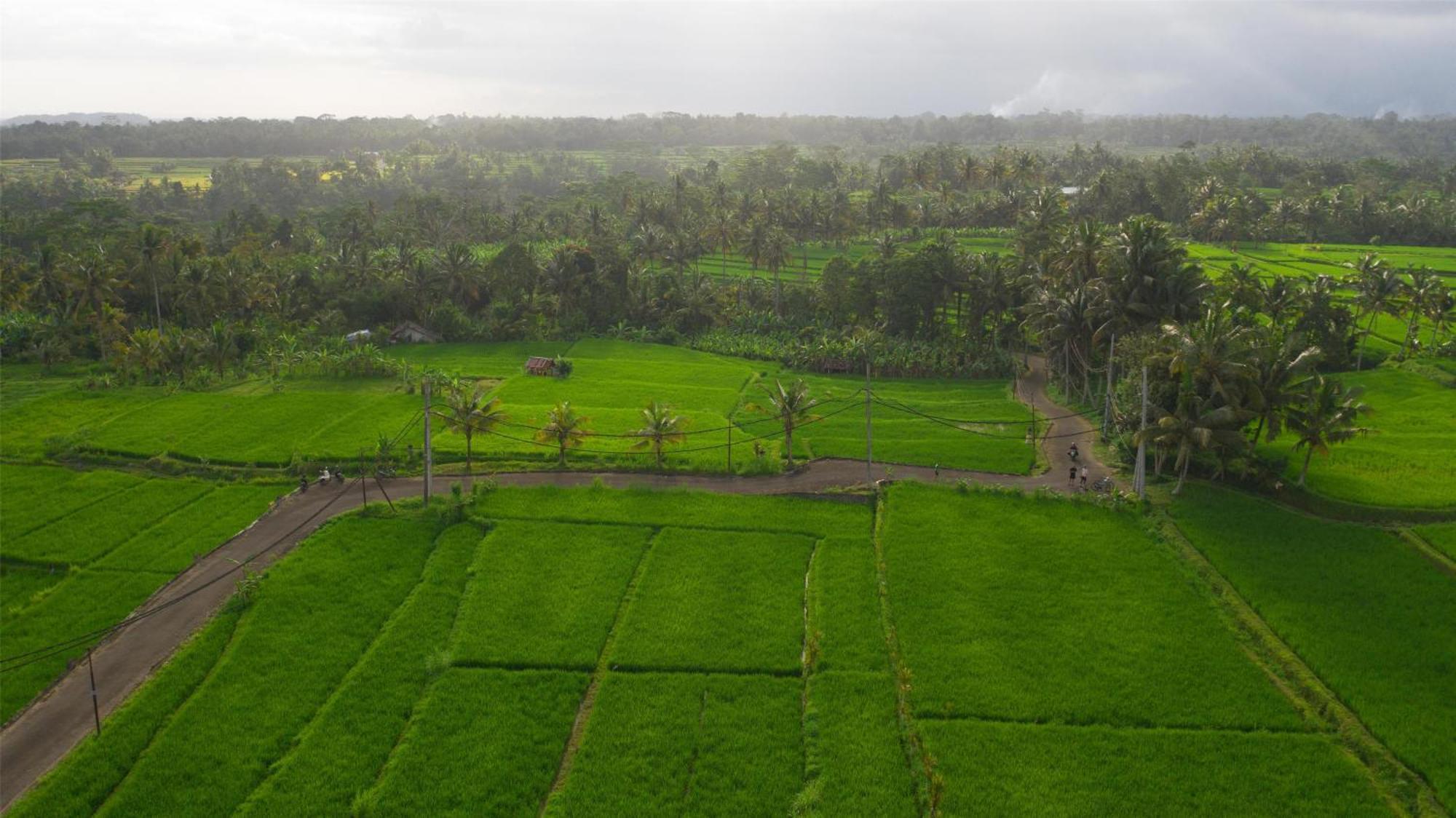Resor Alila Ubud 5*