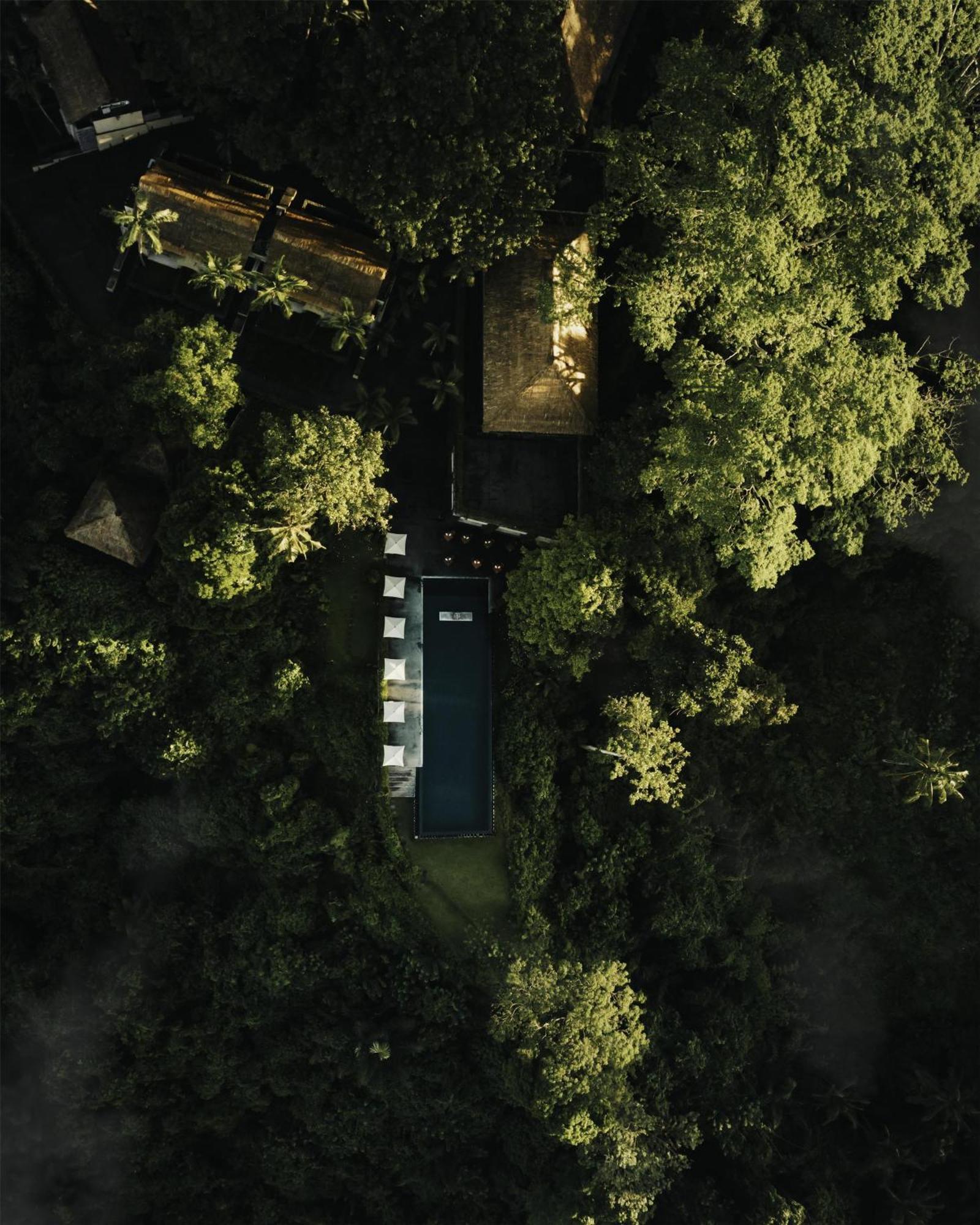 Resor Alila Ubud 5*
